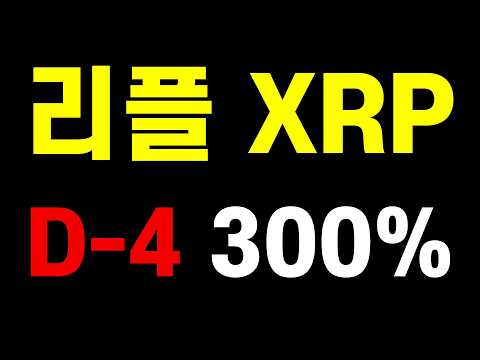 리플 리플전망 8월19일 백악관회의 비트코인 월드코인 #밥코인