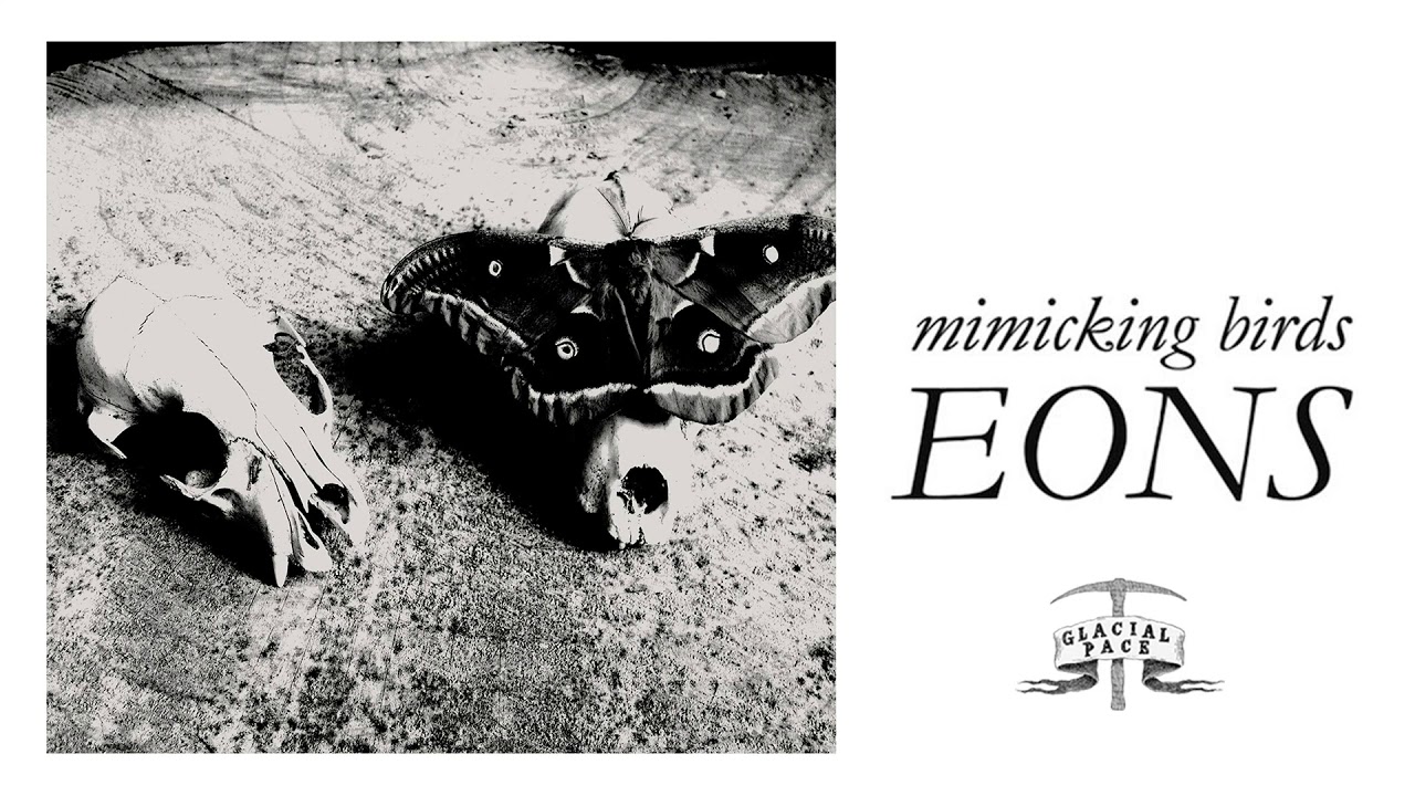 YouTube에서 Mimicking Birds - Moving On (Official Audio) 보기