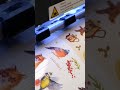 Плоттерная резка контуров стикерпака - Типография EnjoyPrint