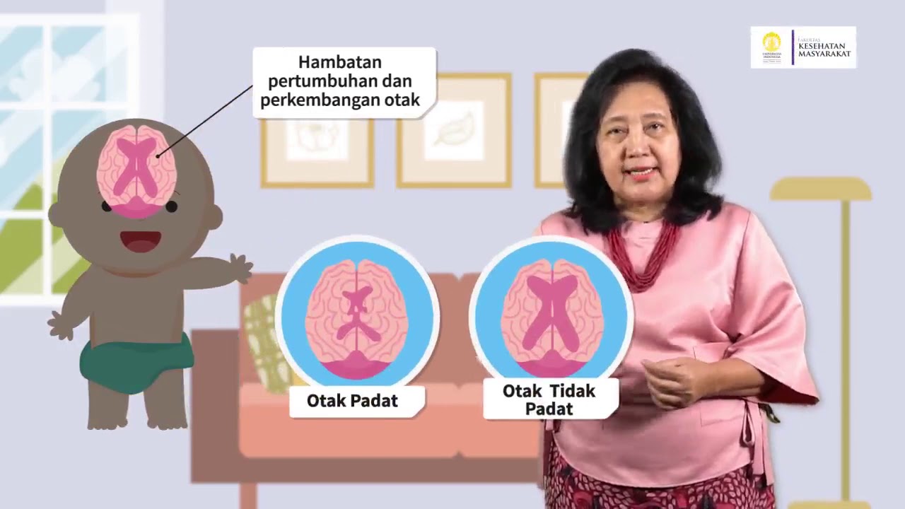 Dampak Gangguan Gizi dalam Periode 1000 HPK