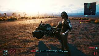 Finishing Panam side missions in Cyberpunk 2077