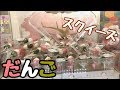 三色団子のスクイーズ山盛りクレーンゲーム！ゲット&開封！