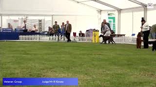 Leeds 23 Day 1 Hound and Gundog Groups