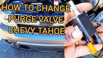 How to Change Purge Valve on a 2007 Chevrolet Tahoe Diy