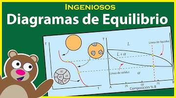 DIAGRAMAS de EQUILIBRIO y Regla de la PALANCA 😛😀 Solubilidad Total
