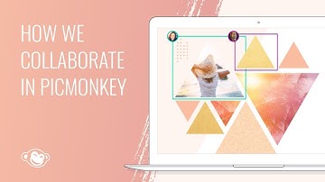 How We Use PicMonkey