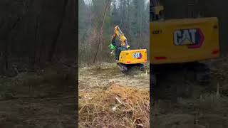 Excavator forestry mulcher TE20 - Grinding a full tree in under 60 seconds | OMEF #forestrymulcher