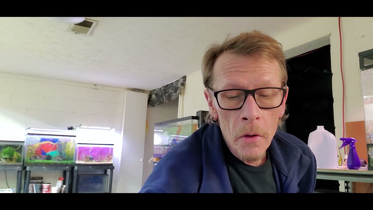 unboxing from aquarium plants factory fail. YouTube