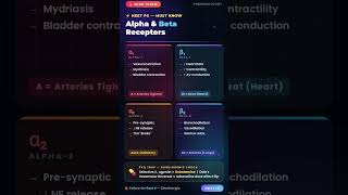 ⚡ Alpha vs Beta Receptors — 60 seconds la NEET PG #HighYield#NEETShorts#ANSPharmacology #MedTok