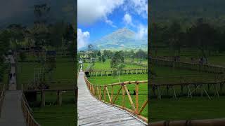 Sejuk Banget Di kebun Teh tambi Wonosobo #foryou #jawatengah #kebuntehtambi #vlog #wonosobo