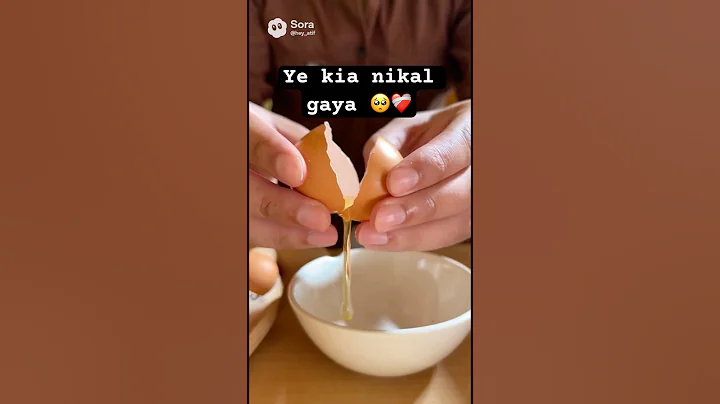 Video 11887651: funny cats dogs