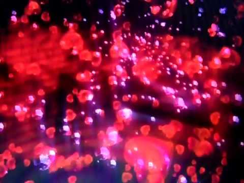 7 -  რატომ გამიშვი კარგო მე ხელი?  ლექსი ამირან ბოჭორიშვილის