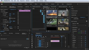 Explore Media Browser@Adobe Premiere Pro Complete Video Editing Masterclass