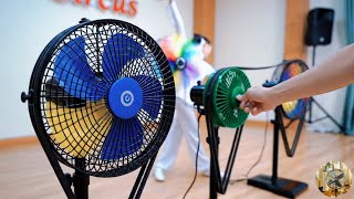 The Ultimate Fan Circus Show | DIY Wind Machines Go Wild!