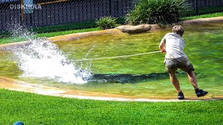 Robert Irwin getting pulled by Murray the crocodile's powerful head shakes!!!