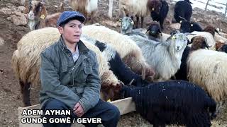 JİYAN U RENCBERİ
