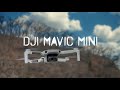 DJI 【Mavic mini】 reviewとシネマチックな空撮5つのテクニック