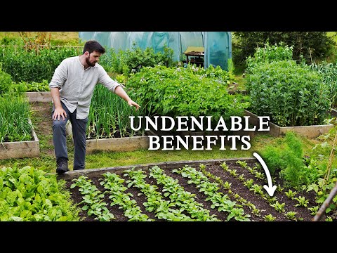 5 Reasons Why Direct Sowing Is Underrated