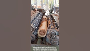 Efficient Bark Removal: The Power of Wood Peeling Machines #farming #satisfying