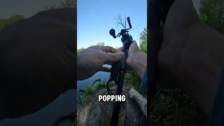 Catching A Fish On Every Type Of Lure Part 5 - The Popping Frog