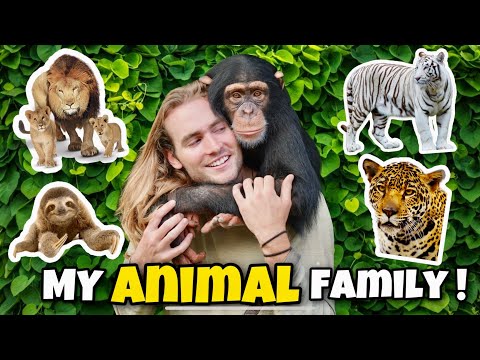 Meet My Animal Family ! Animal Tour !!
