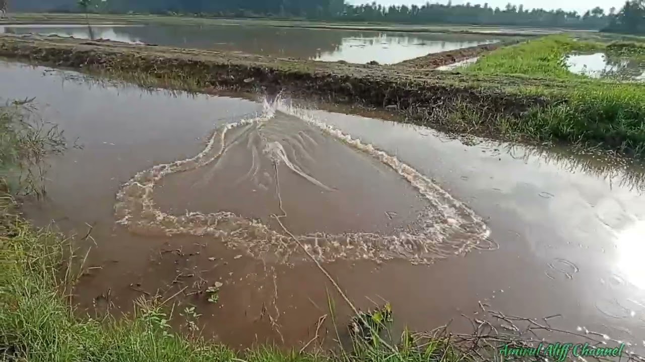 #EP983 Repeat Tahan Pukat dan Menjala