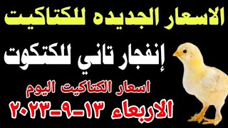 اسعار الكتاكيت البيضاء اليوم/ سعر الكتكوت الأبيض اليوم الاربعاء 13-9-2023 في مصر