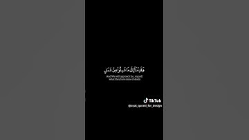 قران كريم ♥️❤️ #اكسبلور #لايك #لايك #راحه نفسيه