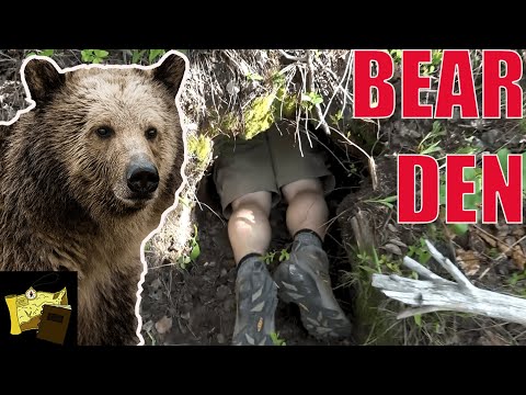 What’s Inside A BEAR DEN? | Hiking Vlog in Greater Yellowstone Ecosystem