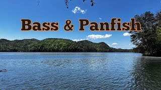 Bank fishing my local lake for bass & panfish (Unexpected TROPHY fish!!!)