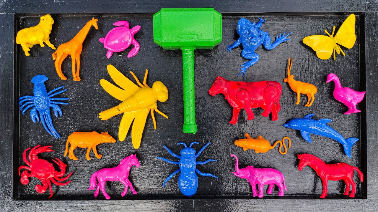 Aha!!Membersihkan hewan sapi, bebek, angsa, ayam, gajah, simpanse, singa, jerapah, buaya, kangguru