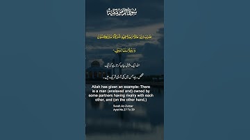 Surah Az Zumar | Surah 39 سورة الزمر Ayat 27 & 29 | English & Arabic Text