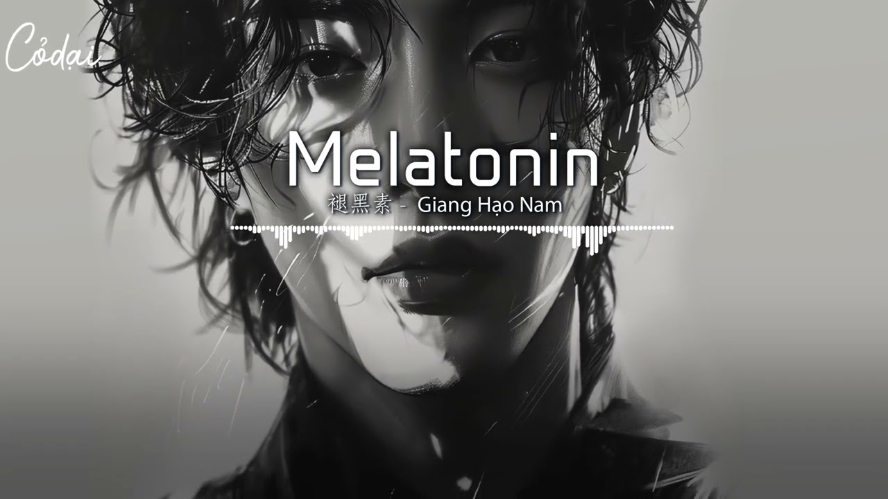 [Vietsub + Pinyin] Melatonin - Giang Hạo Nam / 褪黑素 - 江皓南
