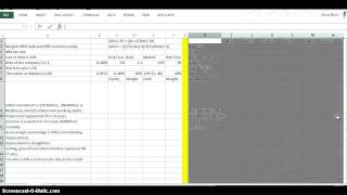 FIN330 Short Application Paper 1 Profile