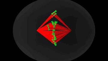 Chromosome congression (3D simulation)