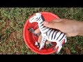 Learn Wild Animals Toys For Kids | Animals Toys For Kids | ANAK BAIK