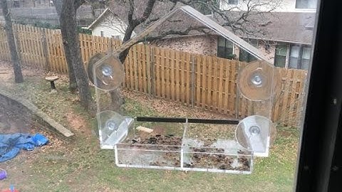 Unboxing window bird feeder