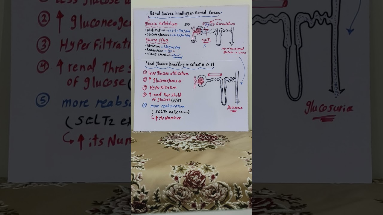 SGLT2 inhibitors.introduction and pathophysiology..مهمه جدا جدا.