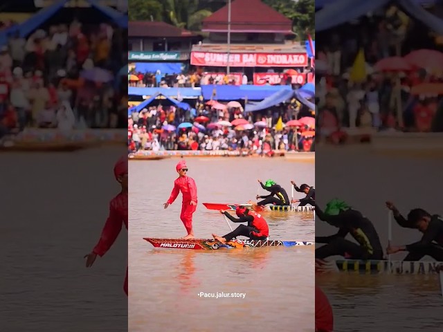 INI BOCIL PACU JALUR YANG VIRAL DI TIKTOK. VIEW SAMPAI 20M,  PACU JALUR KUANTAN SINGINGI 2023. class=