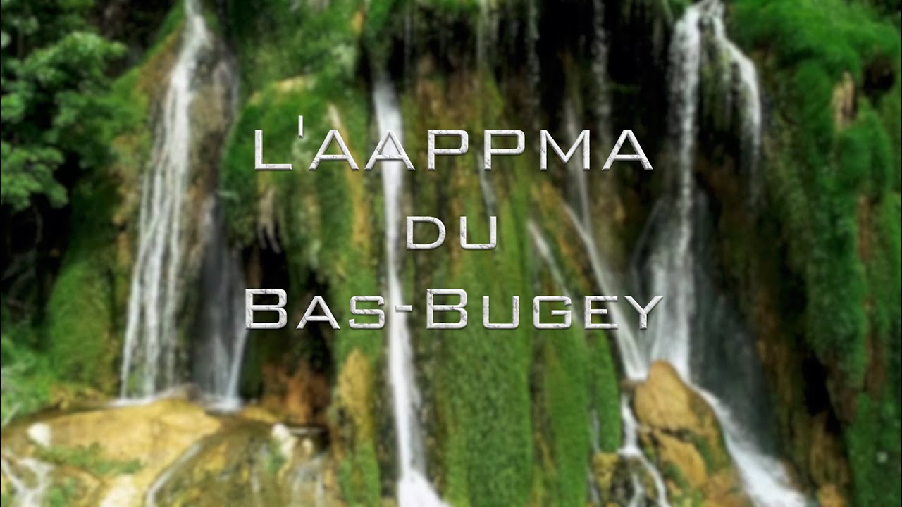 AAPPMA Du Bas Bugey