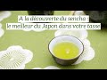 Découvrir Le Sencha Du Japon Découvrir Le Sencha Du Japon