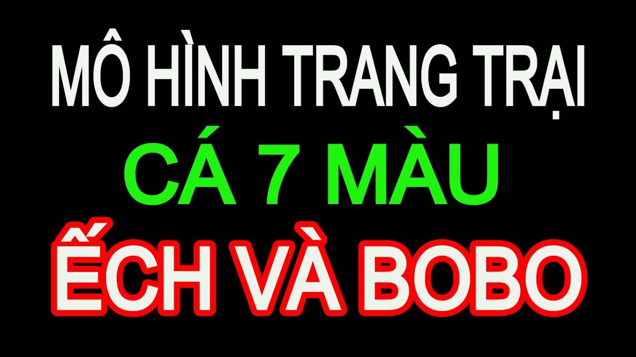 MÔ HÌNH TRANG TRẠI NUÔI CÁ BAYR MÀU - NUÔI ẾCH VÀ BO BO - youtube