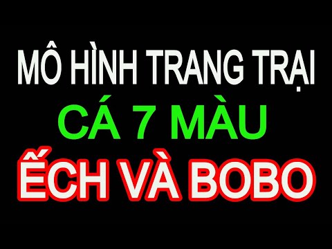 Video MÔ HÌNH TRANG TRẠI NUÔI CÁ BAYR MÀU - NUÔI ẾCH VÀ BO BO - youtube