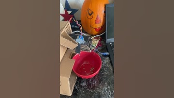 Automatic Fish Feeder- Anthony Molinaro