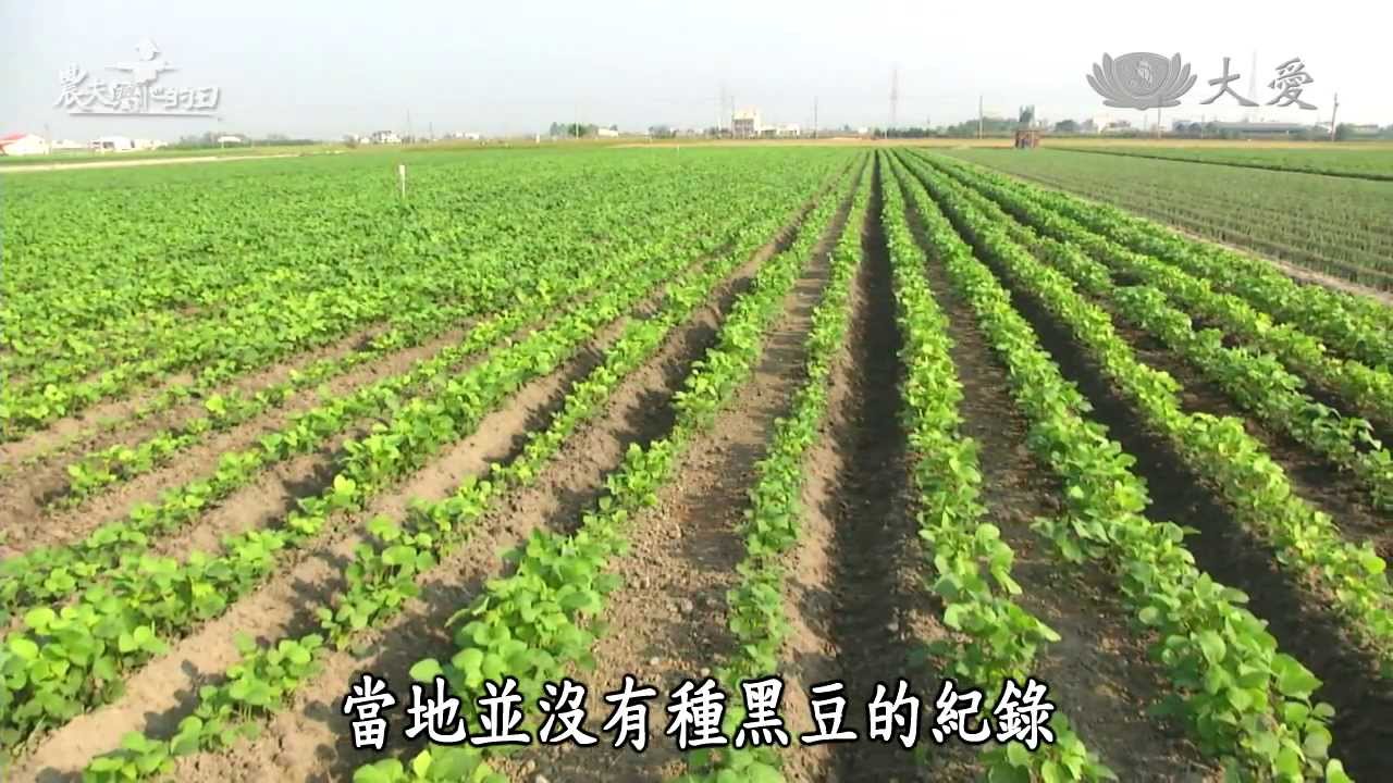 【農夫與他的田】20131228 - 菜刀的田