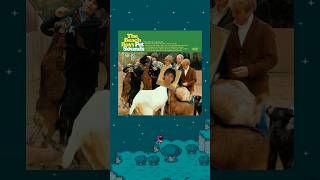 Happy 60th anniversary to Pet Sounds. #petsounds #beachboys #beatles #thebeatles #paulmccartney