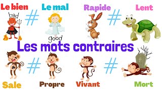 Apprendre les mots contraires en français.