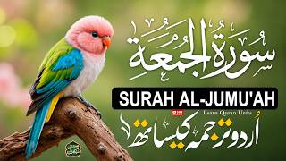 Surah Al-Jumu'ah with Urdu & Hindi Translation 🕌📖 | Beautiful Recitation by Alaa Aqel | Friday Quran