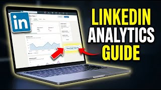 How to download your LinkedIn company page analytics - Complete Guide