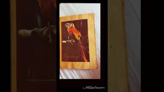 Algum chocolate surpresa- anos 80